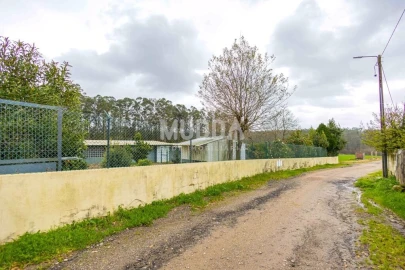 Terreno para Venda em São Martinho da Gandara