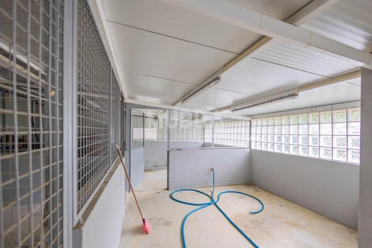 Terreno para Venda em São Martinho da Gandara Foto 10