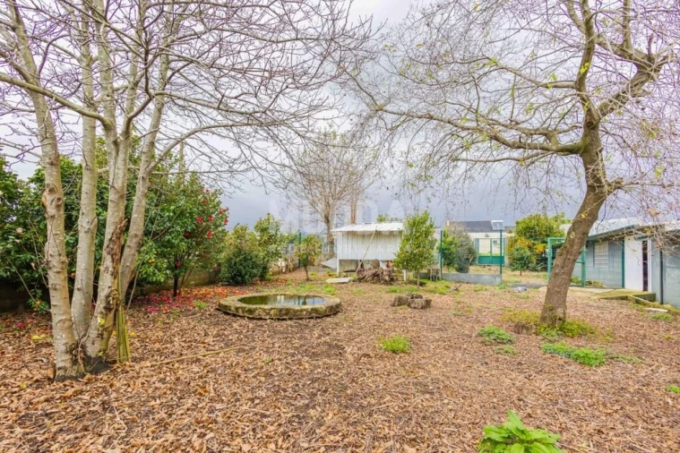 Terreno para Venda em São Martinho da Gandara Foto 24