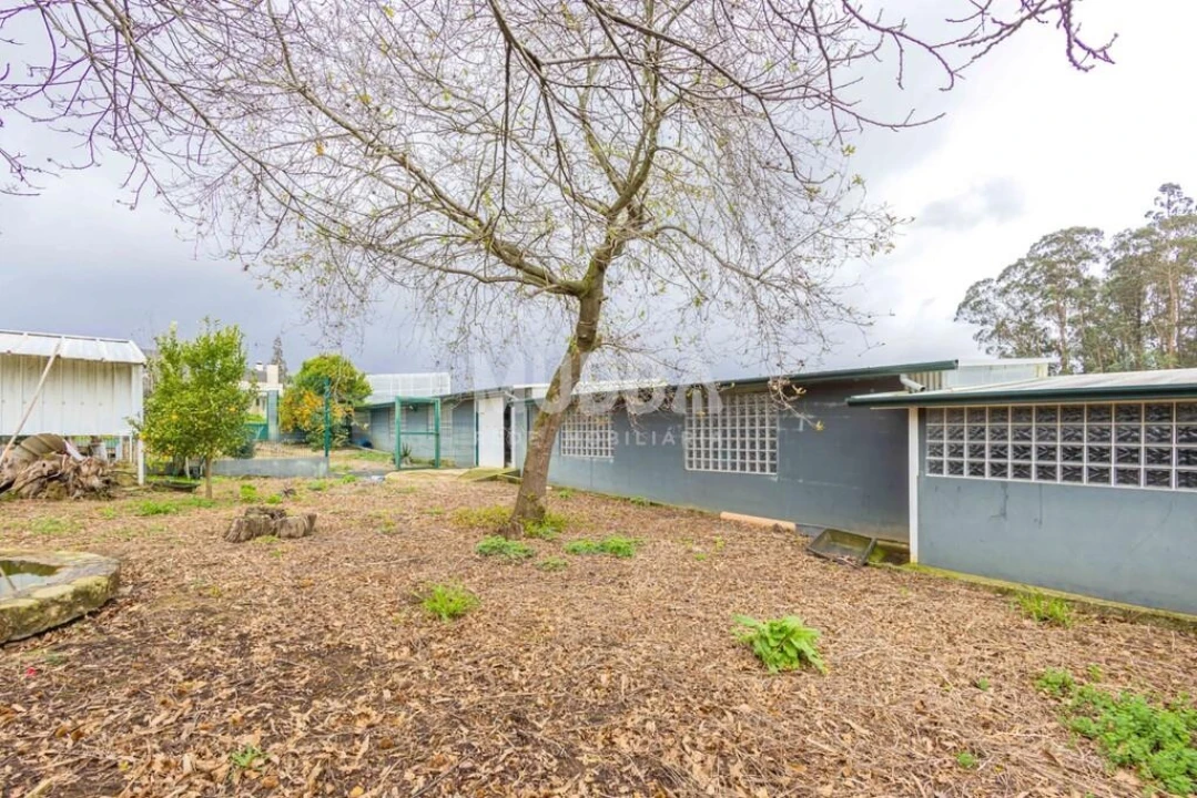 Terreno para Venda em São Martinho da Gandara Foto 11