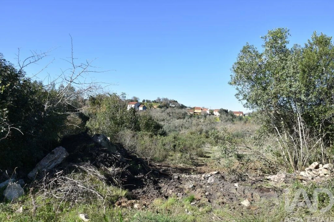 Terreno para Venda em Chãos Foto 5