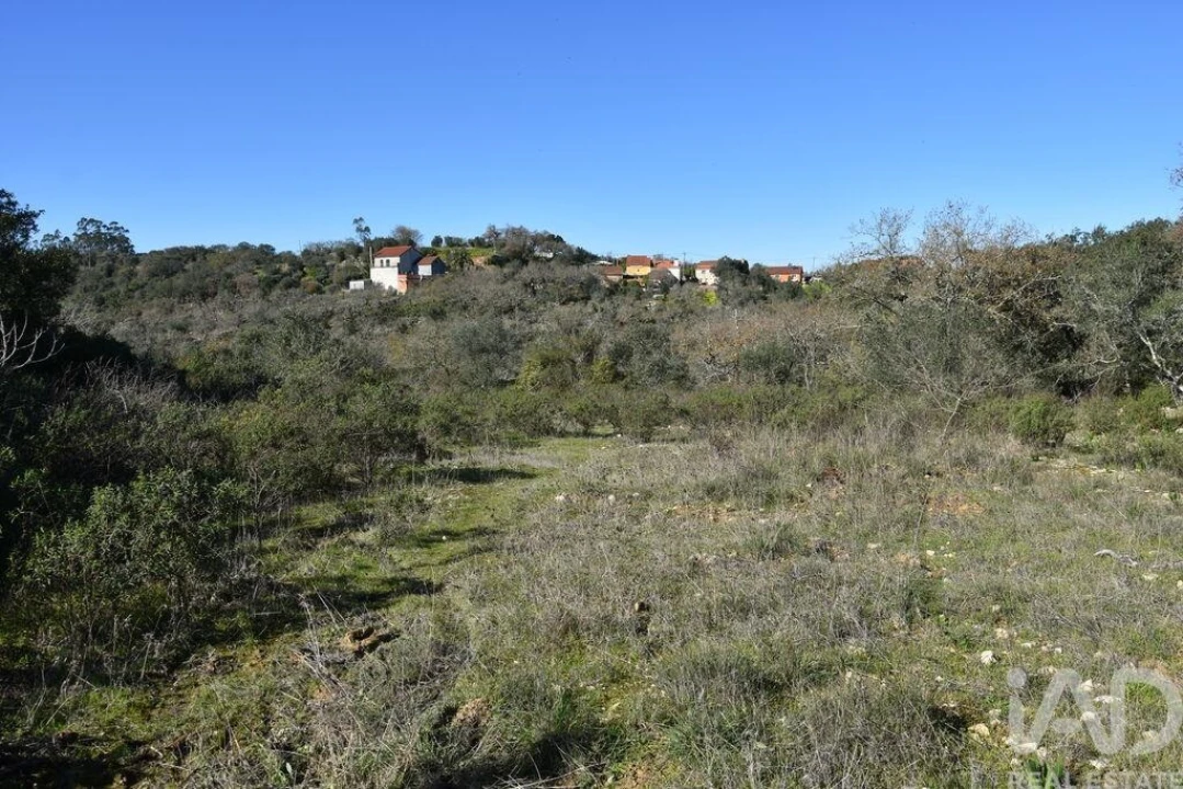 Terreno para Venda em Chãos Foto 1
