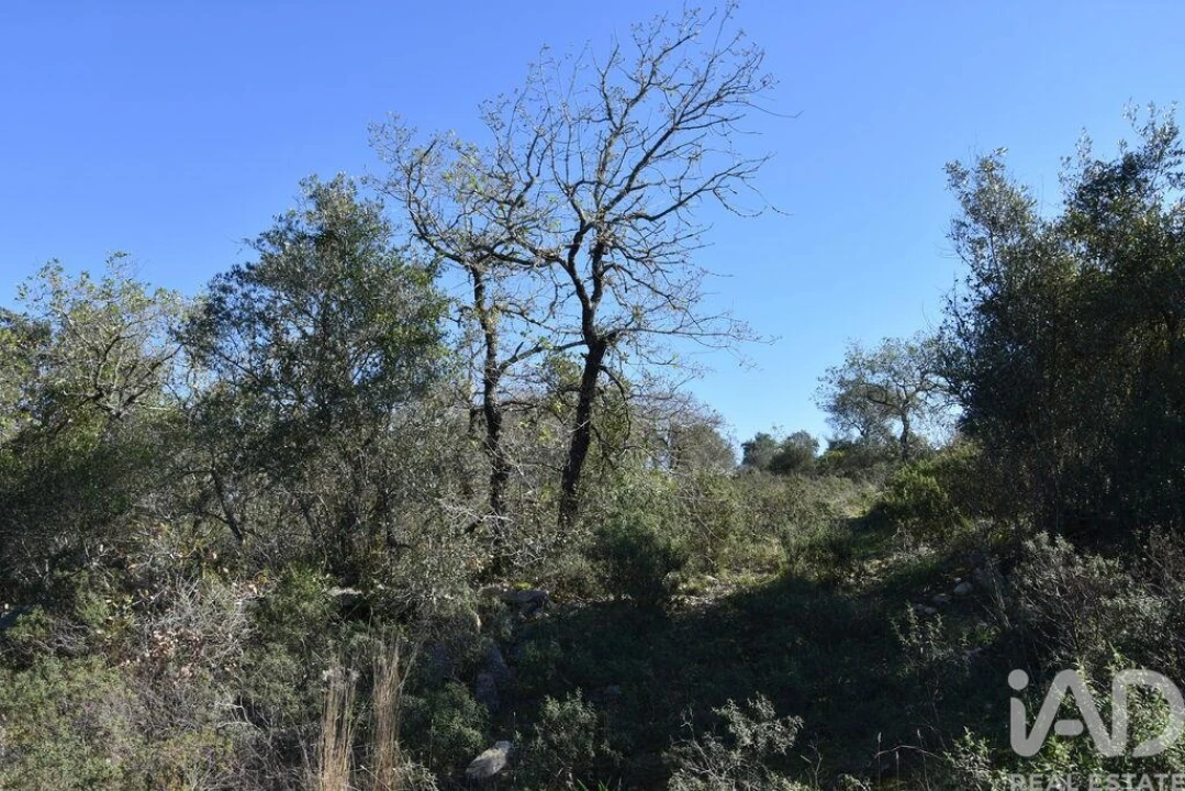 Terreno para Venda em Chãos Foto 11