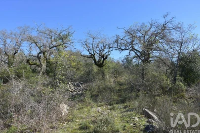 Terreno para Venda em Chãos