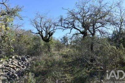 Terreno para Venda em Chãos