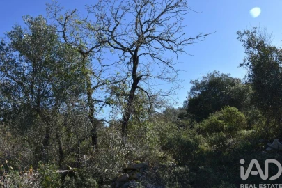 Terreno para Venda em Chãos