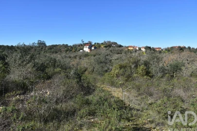 Terreno para Venda em Chãos