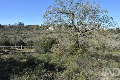 Terreno para Venda em Chãos