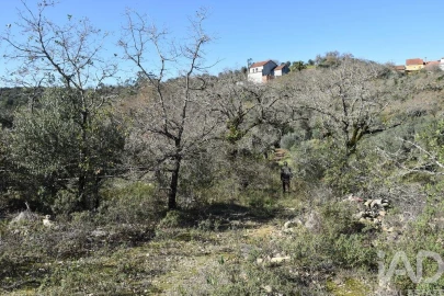 Terreno para Venda em Chãos