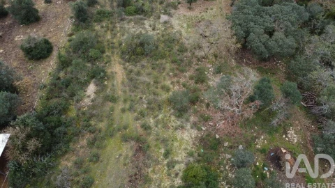 Terreno para Venda em Chãos