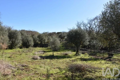 Terreno para Venda em Chãos