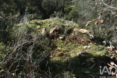 Terreno para Venda em Chãos