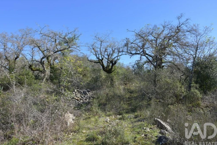 Terreno para Venda em Chãos Foto 15
