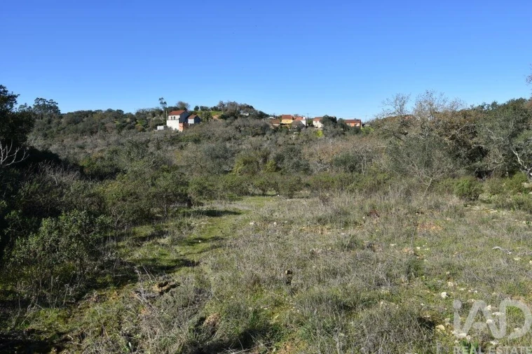 Terreno para Venda em Chãos