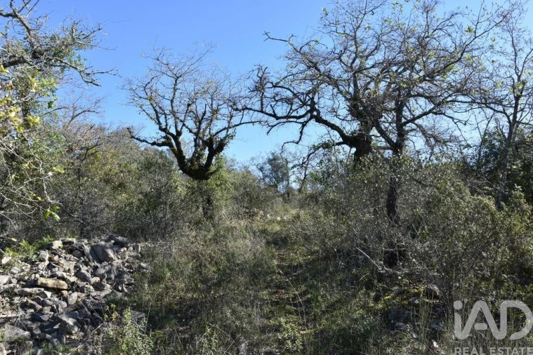 Terreno para Venda em Chãos Foto 14