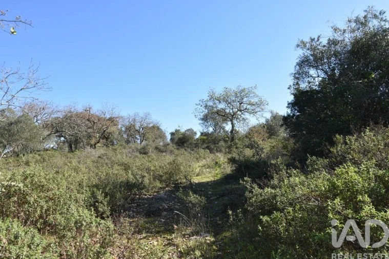 Terreno para Venda em Chãos Foto 10