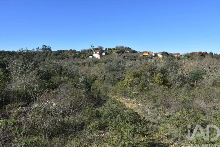 Terreno para Venda em Chãos Foto 6