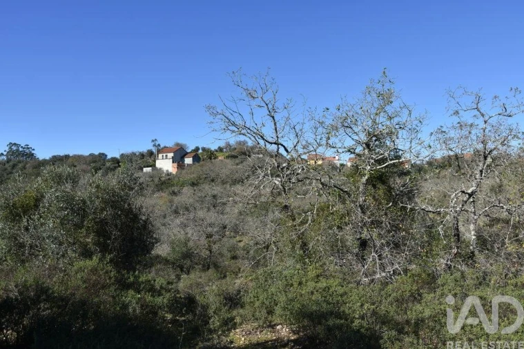Terreno para Venda em Chãos Foto 9