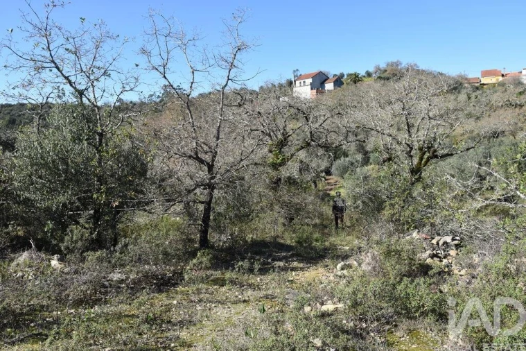 Terreno para Venda em Chãos Foto 13