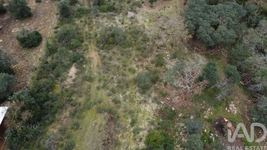 Terreno para Venda em Chãos Foto 22
