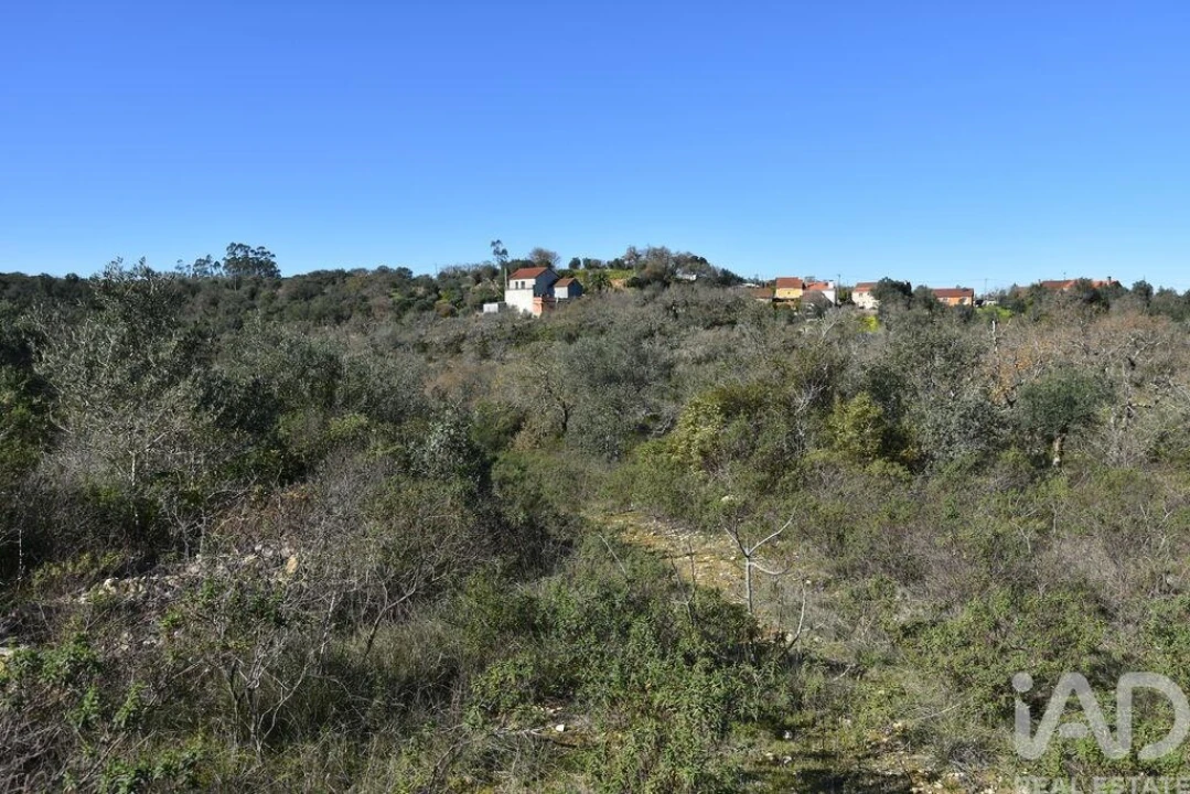 Terreno para Venda em Chãos Foto 6