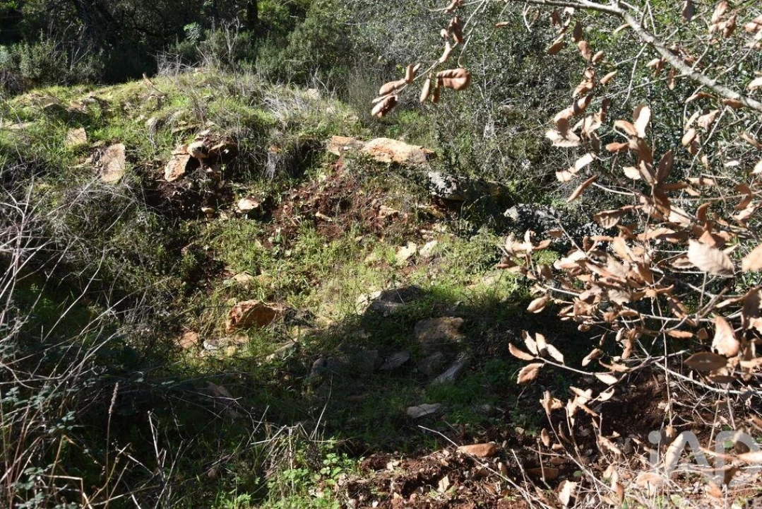 Terreno para Venda em Chãos Foto 20