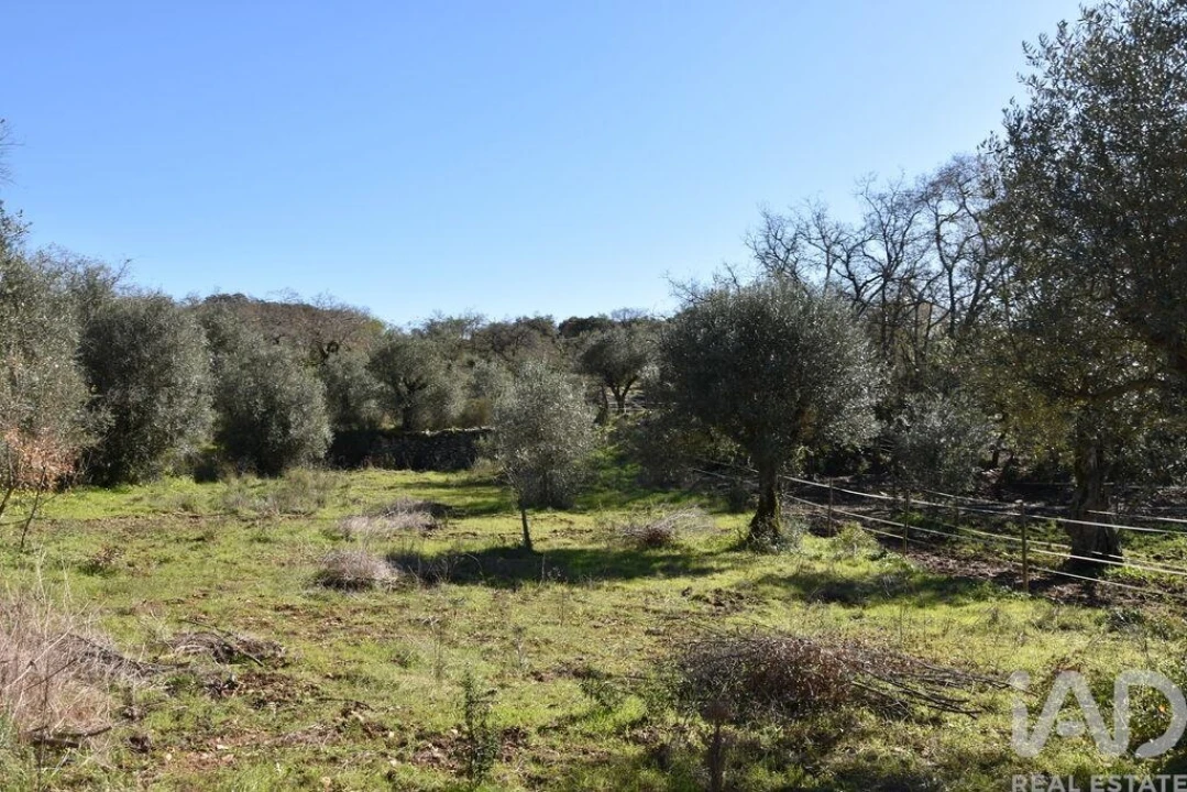 Terreno para Venda em Chãos Foto 19
