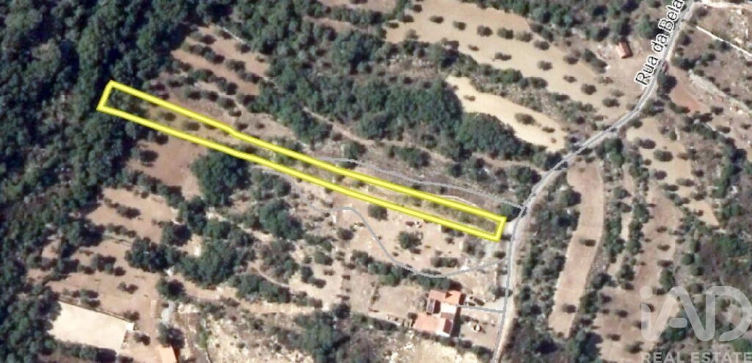 Terreno para Venda em Chãos Foto 2