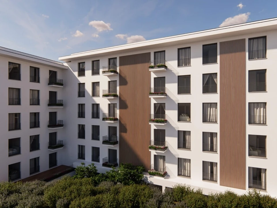 Apartamento T1 para Venda em Avelãs de Ambom e Rocamondo Foto 1