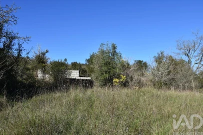 Terreno para Venda em Chãos