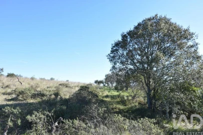 Terreno para Venda em Chãos