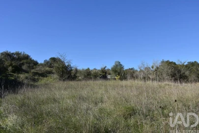 Terreno para Venda em Chãos