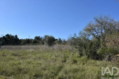 Terreno para Venda em Chãos