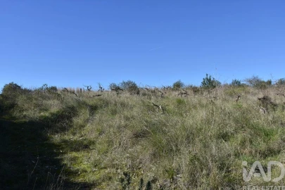 Terreno para Venda em Chãos