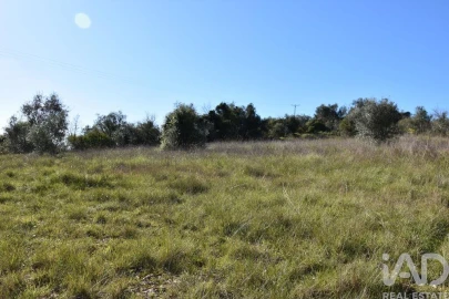 Terreno para Venda em Chãos