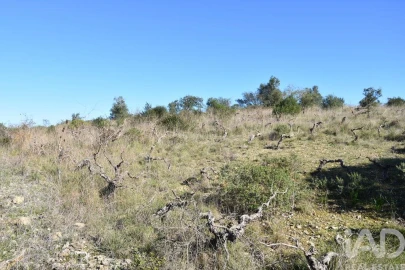 Terreno para Venda em Chãos