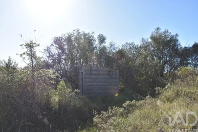 Terreno para Venda em Chãos