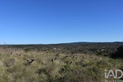 Terreno para Venda em Chãos