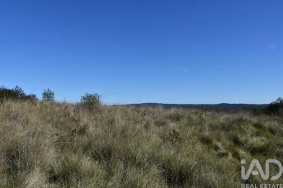 Terreno para Venda em Chãos