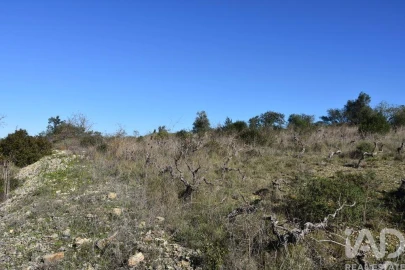 Terreno para Venda em Chãos