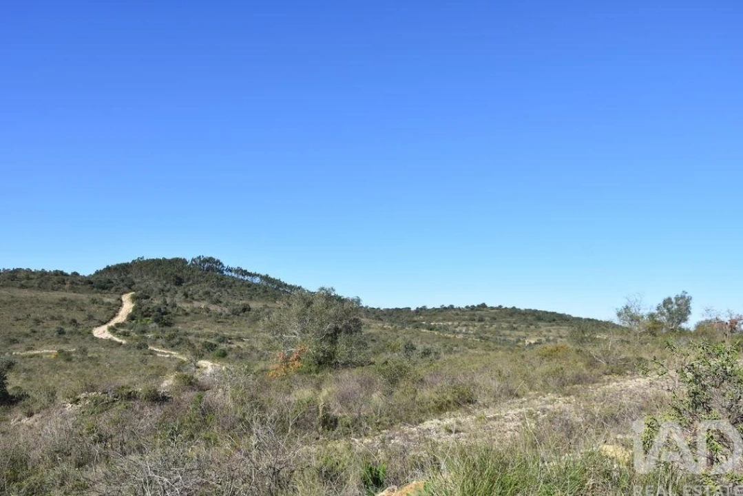 Terreno para Venda em Chãos Foto 6