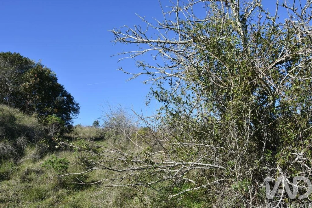 Terreno para Venda em Chãos Foto 29