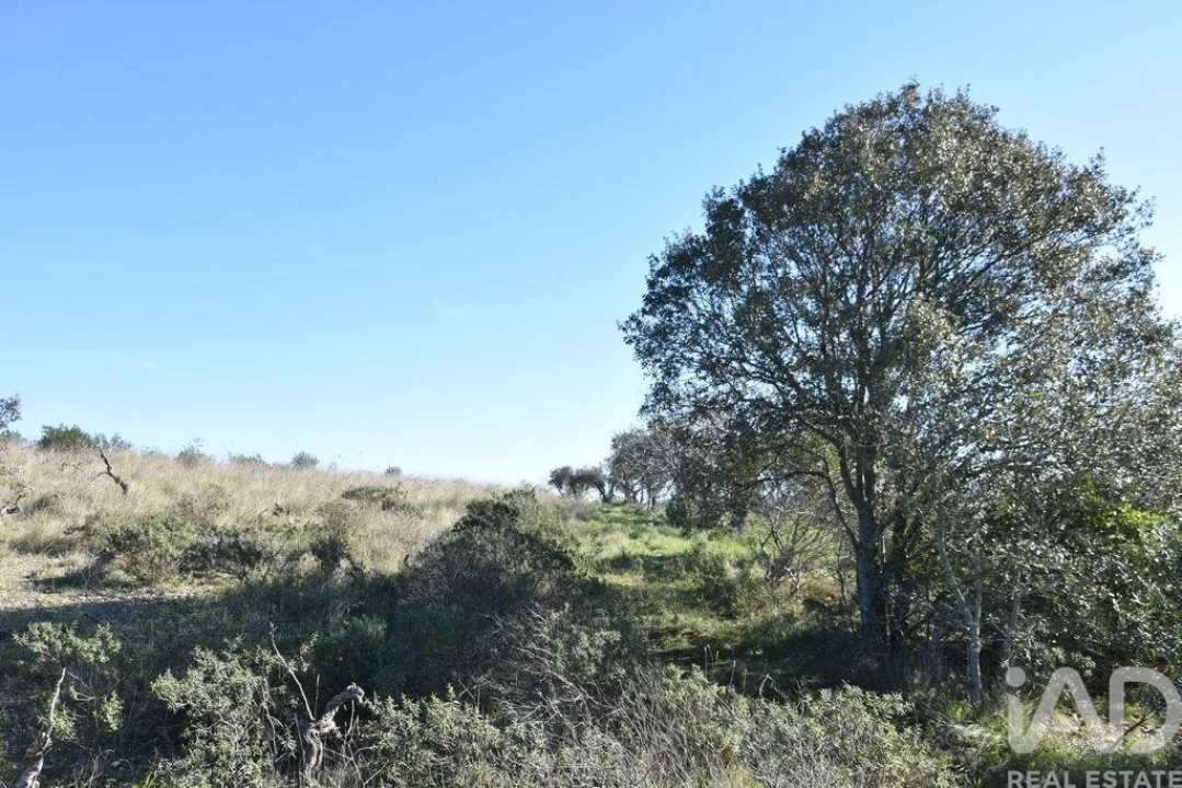 Terreno para Venda em Chãos Foto 12