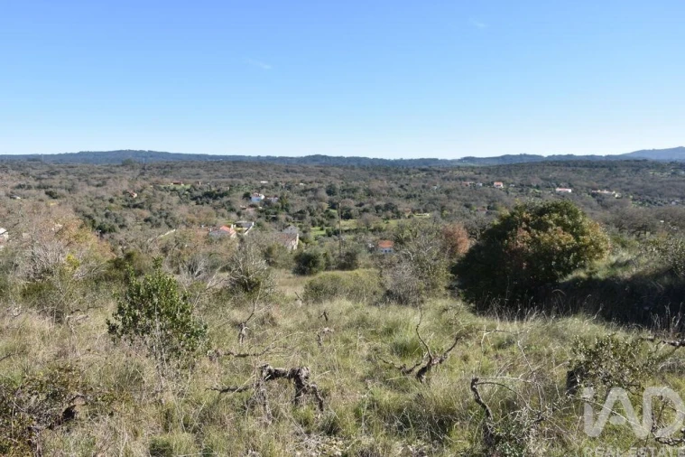 Terreno para Venda em Chãos Foto 20