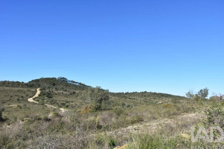 Terreno para Venda em Chãos Foto 6