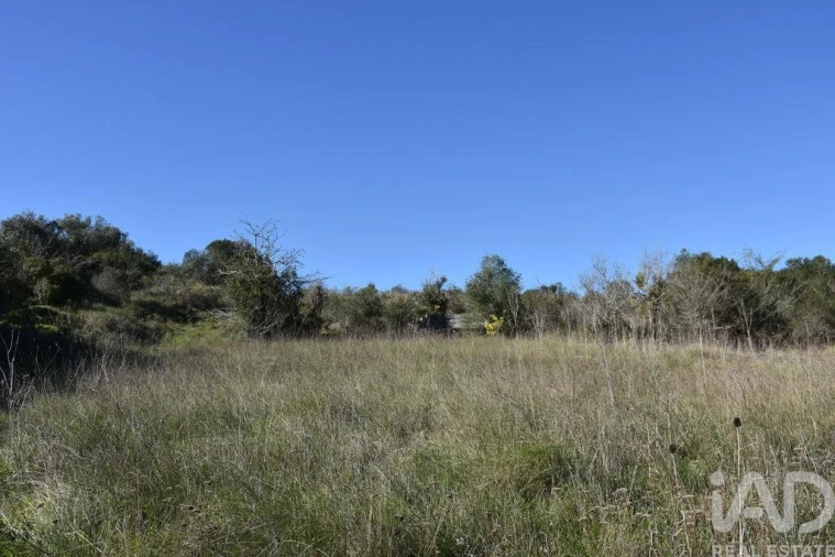 Terreno para Venda em Chãos Foto 5