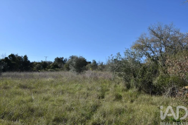 Terreno para Venda em Chãos Foto 25