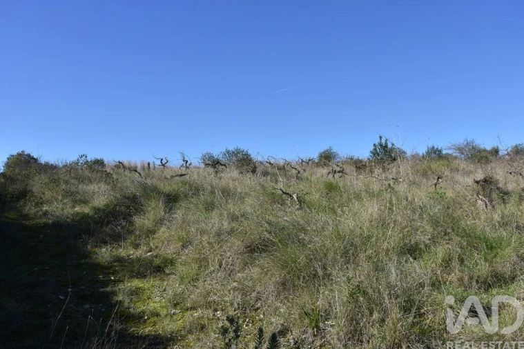 Terreno para Venda em Chãos Foto 30