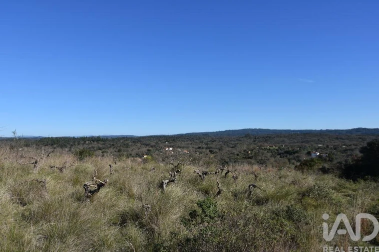 Terreno para Venda em Chãos Foto 16