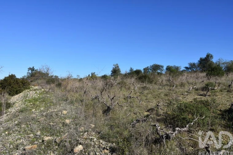 Terreno para Venda em Chãos Foto 11